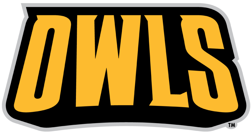 Kennesaw State Owls 2012-Pres Wordmark Logo diy iron on heat transfer